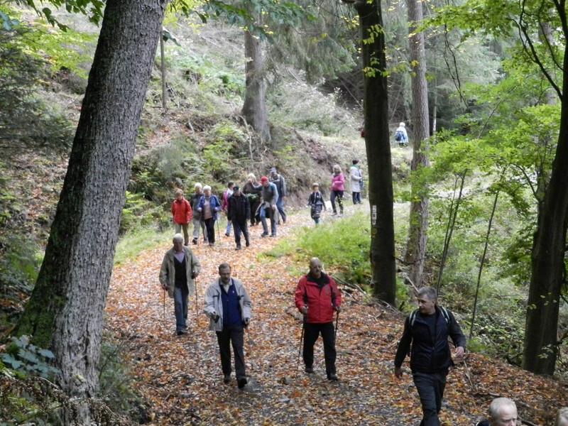 Wandern Spessart
